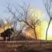 A woman was suspected of fighting on the Ukrainian side in Russia