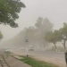 Strong winds and dust are expected in some regions of Uzbekistan