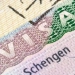 Germaniya Rossiyaga viza berishni qattiq nazorat qiladi