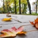 On October 11, the weather in Uzbekistan will be stable