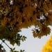 On October 21, warm and sunny weather in Uzbekistan