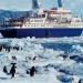Tourism in Antarctica is damaging the ecosystem