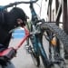 The person who stole a bicycle was sentenced to five years in prison