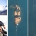 Swiss diver sets new record under the ice