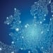 In Europe, 12 unicorn startups emerged in 2025