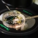 Method of creating embryo from human skin under trial