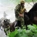 Rossiya armiyasi otliq otryadlarni qayta tiklamoqda