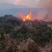 Bolqon davlatlarida yong‘inlar halokatli davom etmoqda
