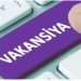 Diplomsiz yoshlar orasida ishsizlik darajasi rekord darajada kamaydi