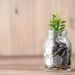 Investment platform to be launched in Uzbekistan