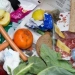 Food waste causes serious damage to the environment