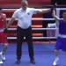 Uzbekistani boxers are competing at the Asian Championship