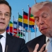 В отношениях между Трампом и НАТО возникла новая напряженность