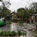 In Vietnam, the "Bualoy" storm killed 13 people