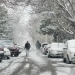 Cold weather in Tashkent: caution needed on the roads