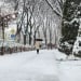 At the beginning of December, the weather will be calm and stable