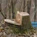 Trees were cut down on Bobur Street, renovation began
