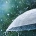 On September 15, rain and strong winds will increase in some areas