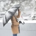 On January 8, the weather will be variable, no precipitation expected