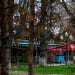2 сентября в Узбекистане усилится ветер, дождя не будет