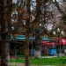 2 сентября в Узбекистане усилится ветер, дождя не будет