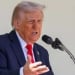 Трамп принимает решение о встрече с Путиным