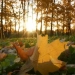On October 13, warm and sunny weather in Uzbekistan