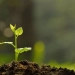 Green Initiative Fund for Youth opened