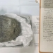 Antarktidada topilgan ilk dinozavr suyagi qariyb qirq yildan so'ng aniqlandi