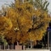 Warm and rainless weather in Uzbekistan throughout the week