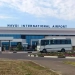 Navoi Airport received 1017 head of sheep