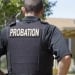 Probation supervision procedures and incentives approved