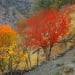 What will the weather be like in Uzbekistan on September 21, 2025