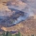 Лесной пожар в Бостанлыке быстро ликвидирован