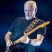 David Gilmour's Guitar Became the Most Expensive Instrument in the World