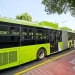 Increase in fare evasion on buses in Tashkent