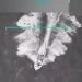 The US neutralized a boat that left Venezuela