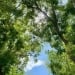 At the weekend, the weather in Uzbekistan will cool down significantly