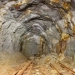 61 million tons of gold found in Iran's Shodan mine