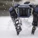 Robots have been deployed against wild animals at US airports