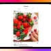 Instagram has now released an app for Apple tablets