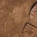 Ancient Footprints Dating Back 300 Thousand Years Found in Germany
