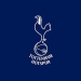 "Tottenham" is going through the toughest period in its history