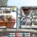 Weapons banned in Tashkent were confiscated