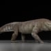 Patagoniyada 70 million yillik yirik timsoh qoldiqlari topildi