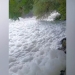 Andijonda kanal suvini tikuv fabrikasi ifloslaganligi aniqlandi
