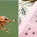Chelyabinskda zavodchi 100 million rubl yutdi