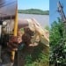 Illegal use of gas and electricity identified in 279 cases