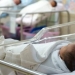 The birth rate has decreased since the beginning of the year, experts are concerned