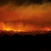Forest fires in Australia destroyed 350 thousand hectares